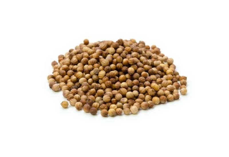 Coriander (ድምብላል)