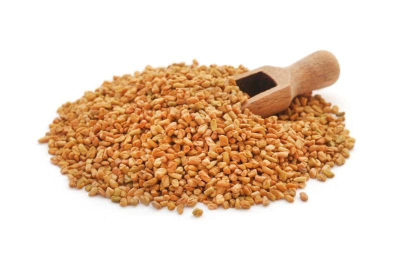 Fenugreek (አብሽ)