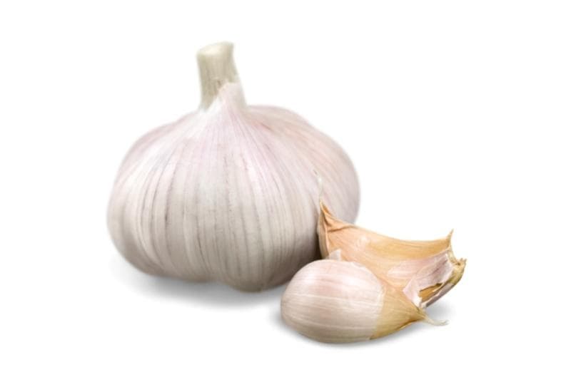 Garlic (ነጭ ሽንኩርት)