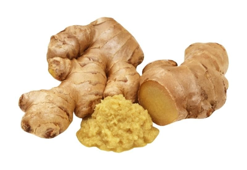 Ginger (ዝንጅብል)