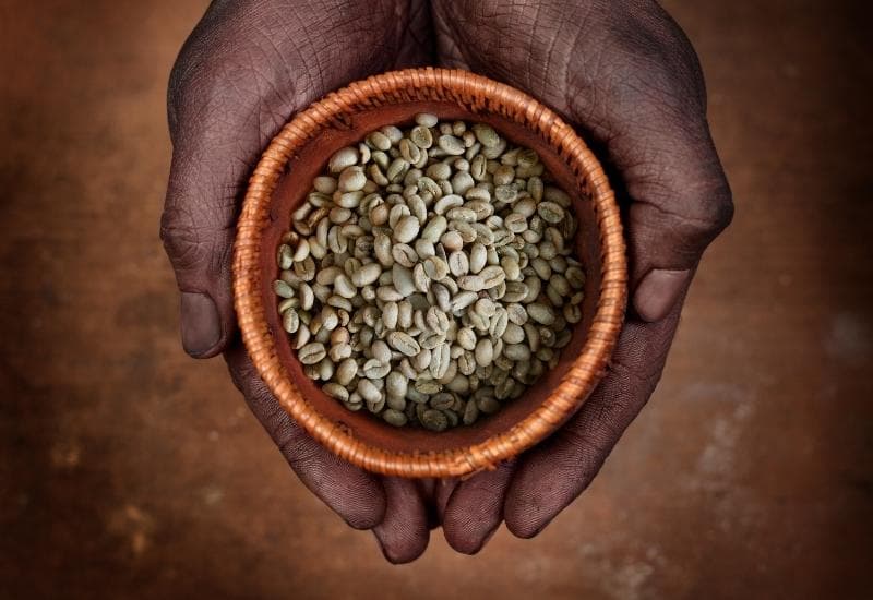 Hand-Picked Coffee