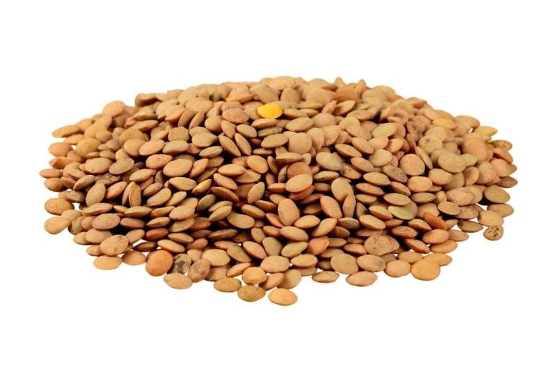 Lentils (ድፍን ምስር)