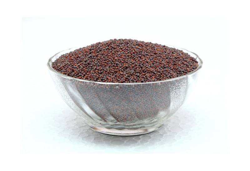 Black Mustard (ሰናፍጭ)